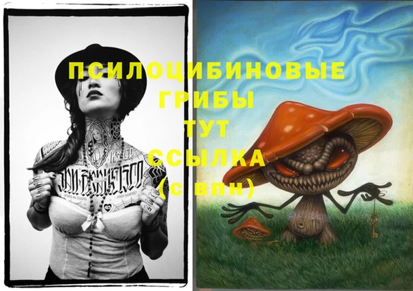 твердый Абинск