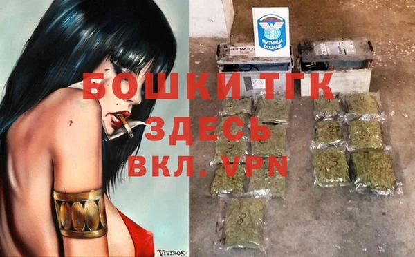 дмт Абаза