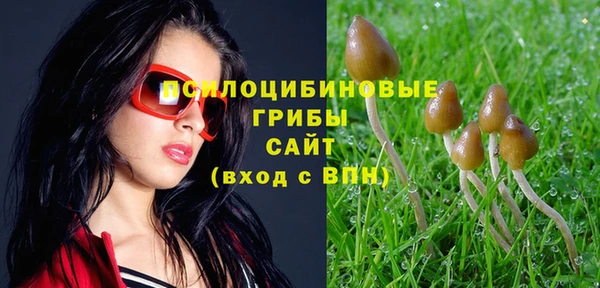 прущий лед Абдулино