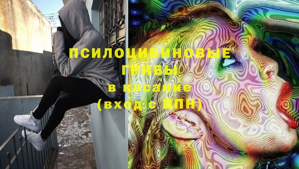 дмт Абаза