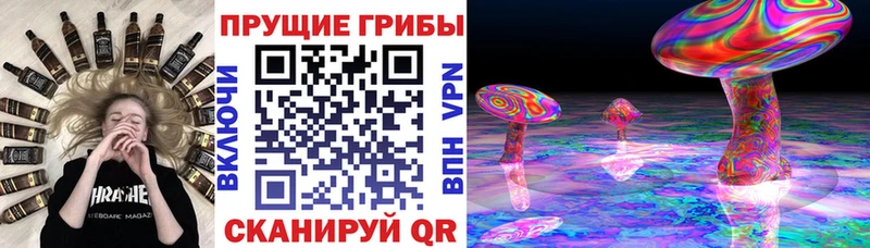 Галлюциногенные грибы Magic Shrooms  где купить наркотик  Краснодар 