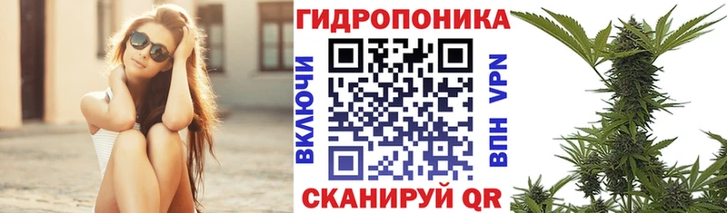 МЕГА вход  Краснодар  Марихуана OG Kush  продажа наркотиков 